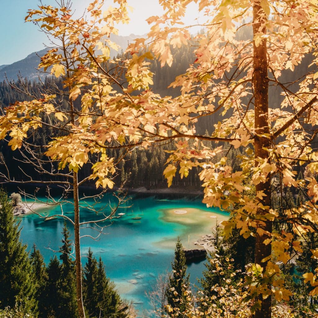 kevin-schmid-sZuKMS4fqMU-unsplash