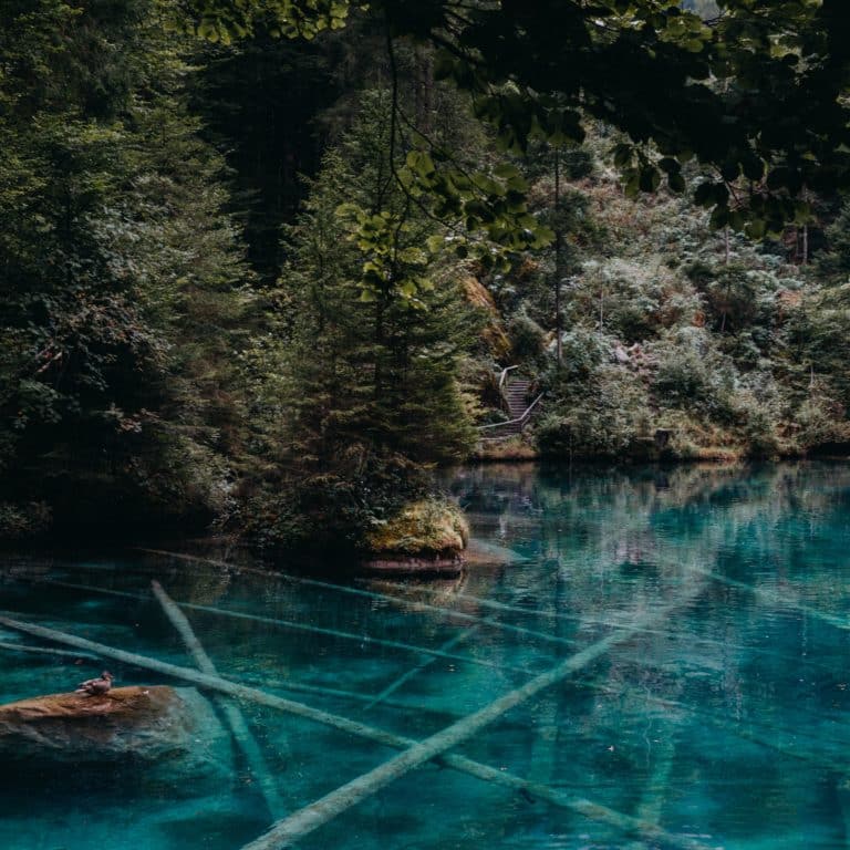 kevin-schmid-wgUcNyatMTA-unsplash
