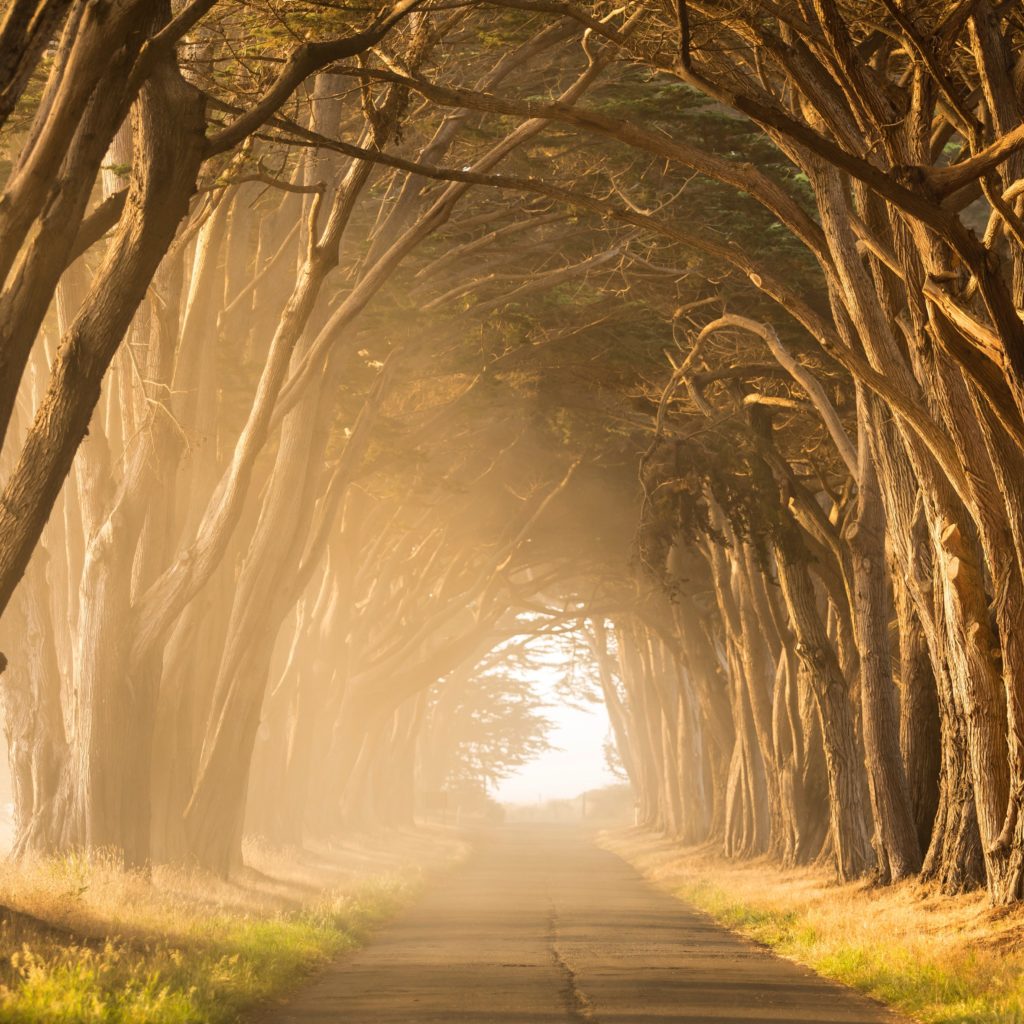 stephen-leonardi-gyIRjKPXupE-unsplash